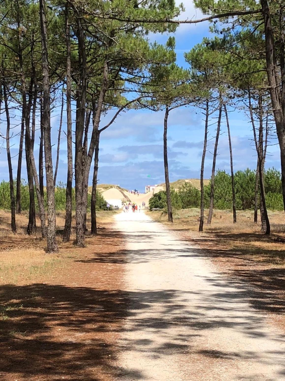 Almigeda Βίλα Les Mathes Εξωτερικό φωτογραφία