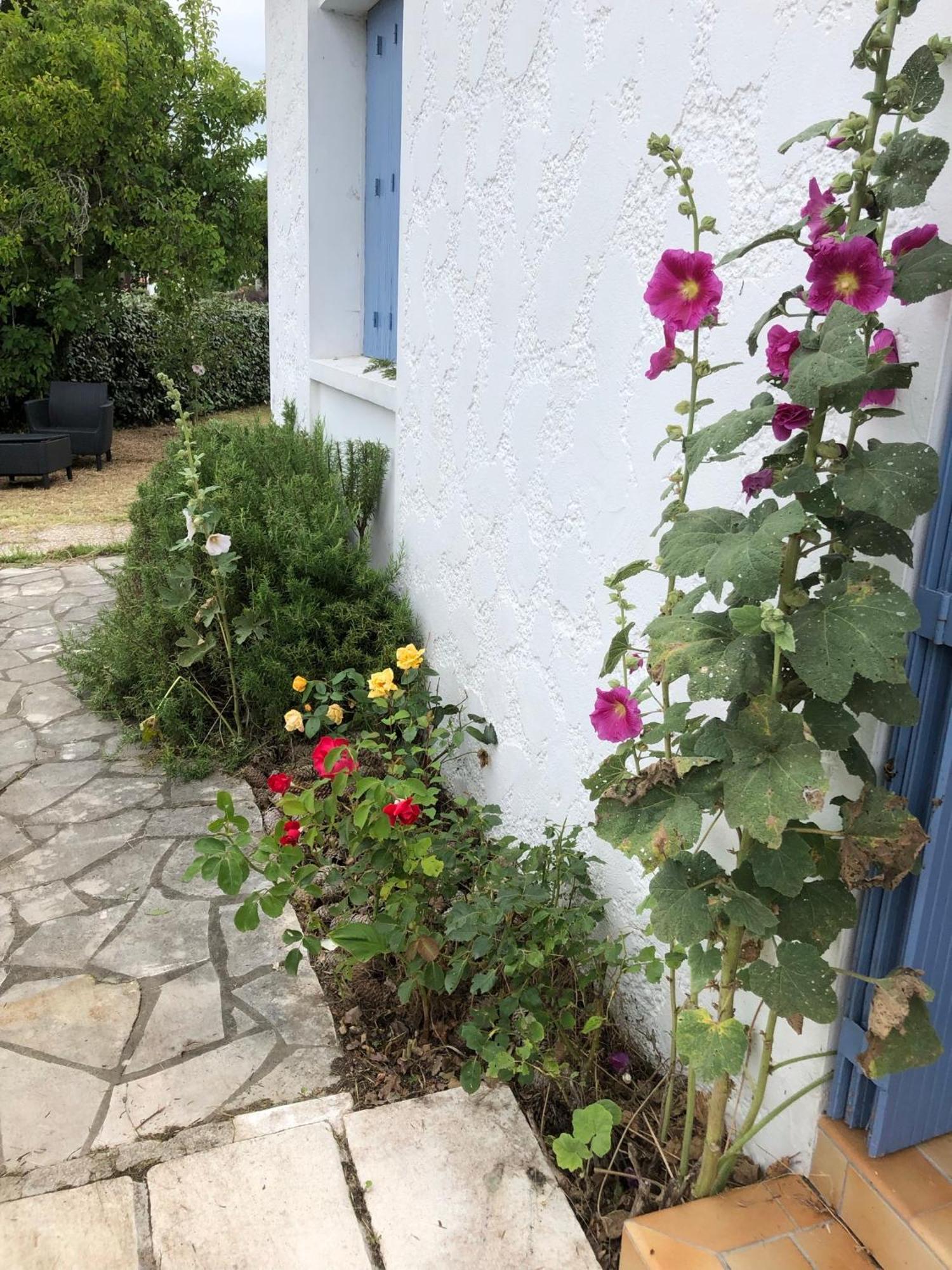 Almigeda Βίλα Les Mathes Εξωτερικό φωτογραφία